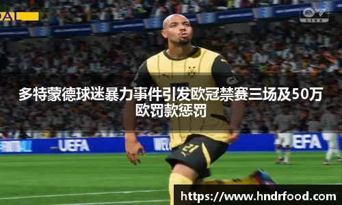 多特蒙德球迷暴力事件引发欧冠禁赛三场及50万欧罚款惩罚