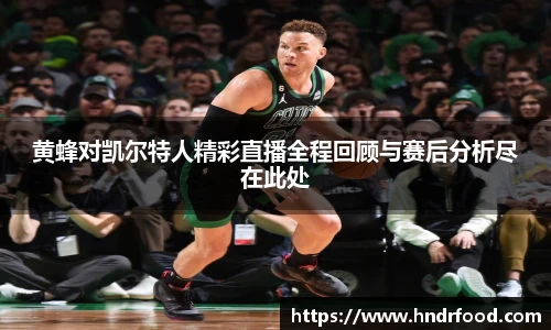 黄蜂对凯尔特人精彩直播全程回顾与赛后分析尽在此处